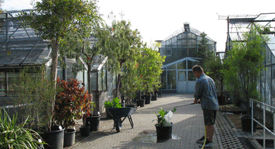 🌿 요하네스 구텐베르크 대학교 식물원 (보타니셔 가르텐 데어 요하네스 구텐베르크-우니베르지테트 마인츠)
